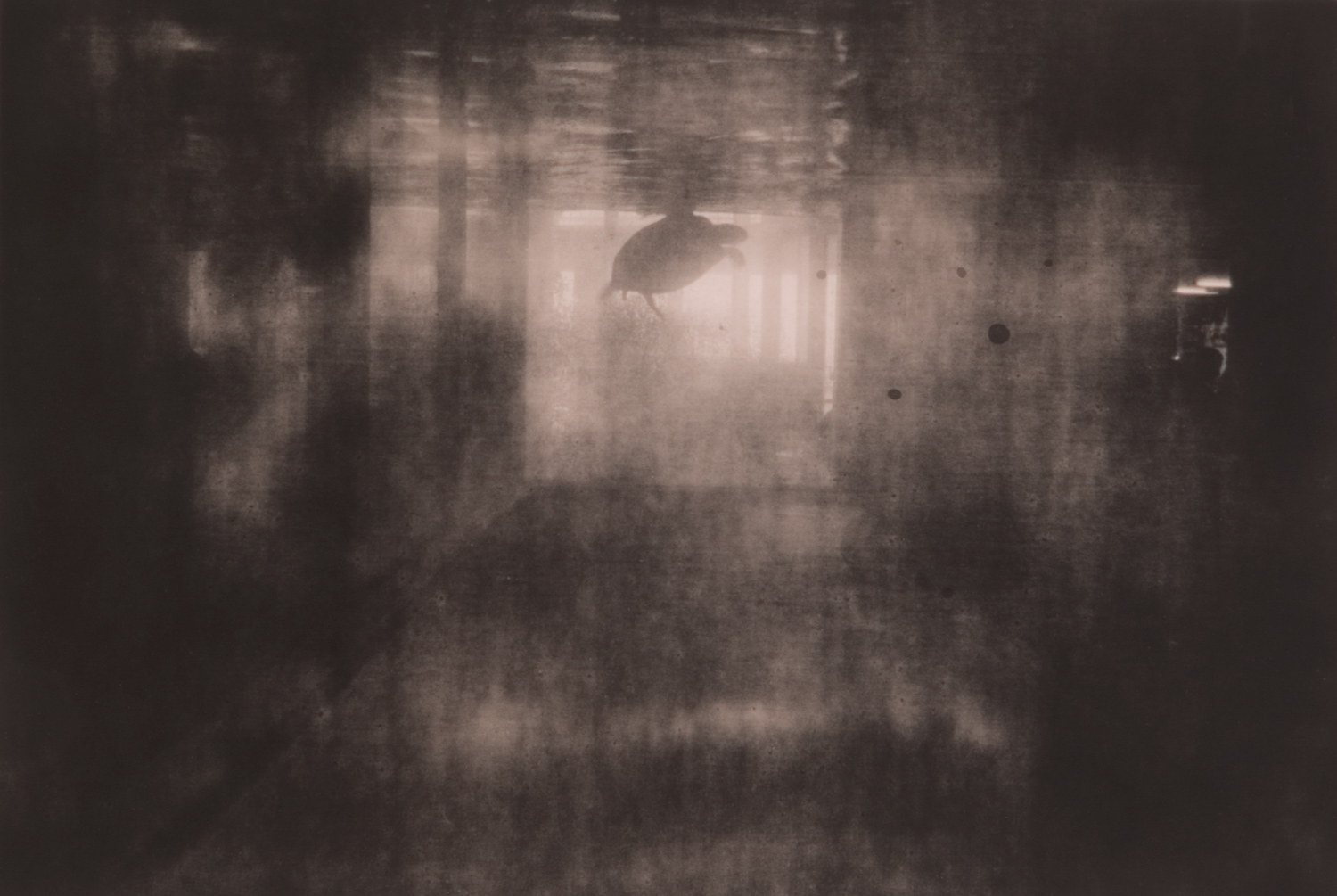 z cyklu bez tytułu, nr neg. 1025/19